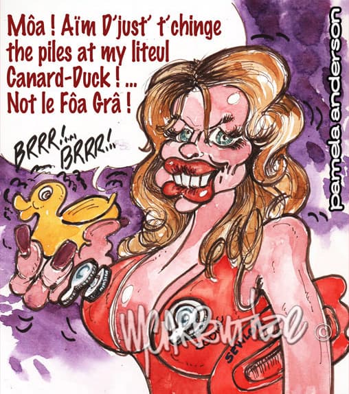 ANDERSON Paméla — Michel Carpentier